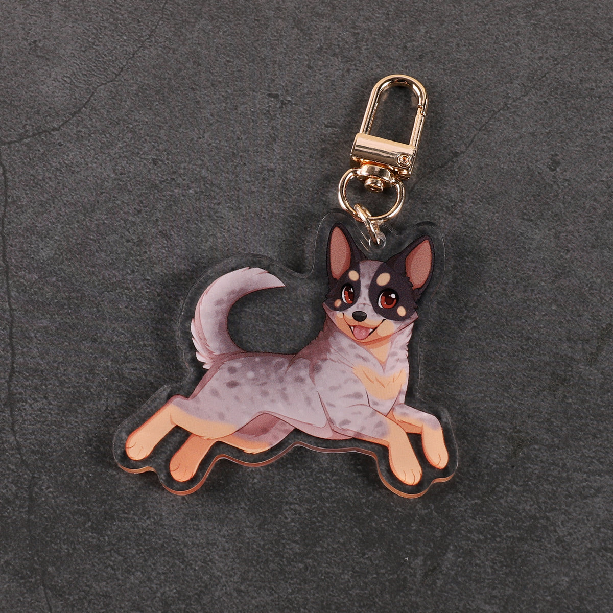 Australian Cattle Dog - Acrylic Charm