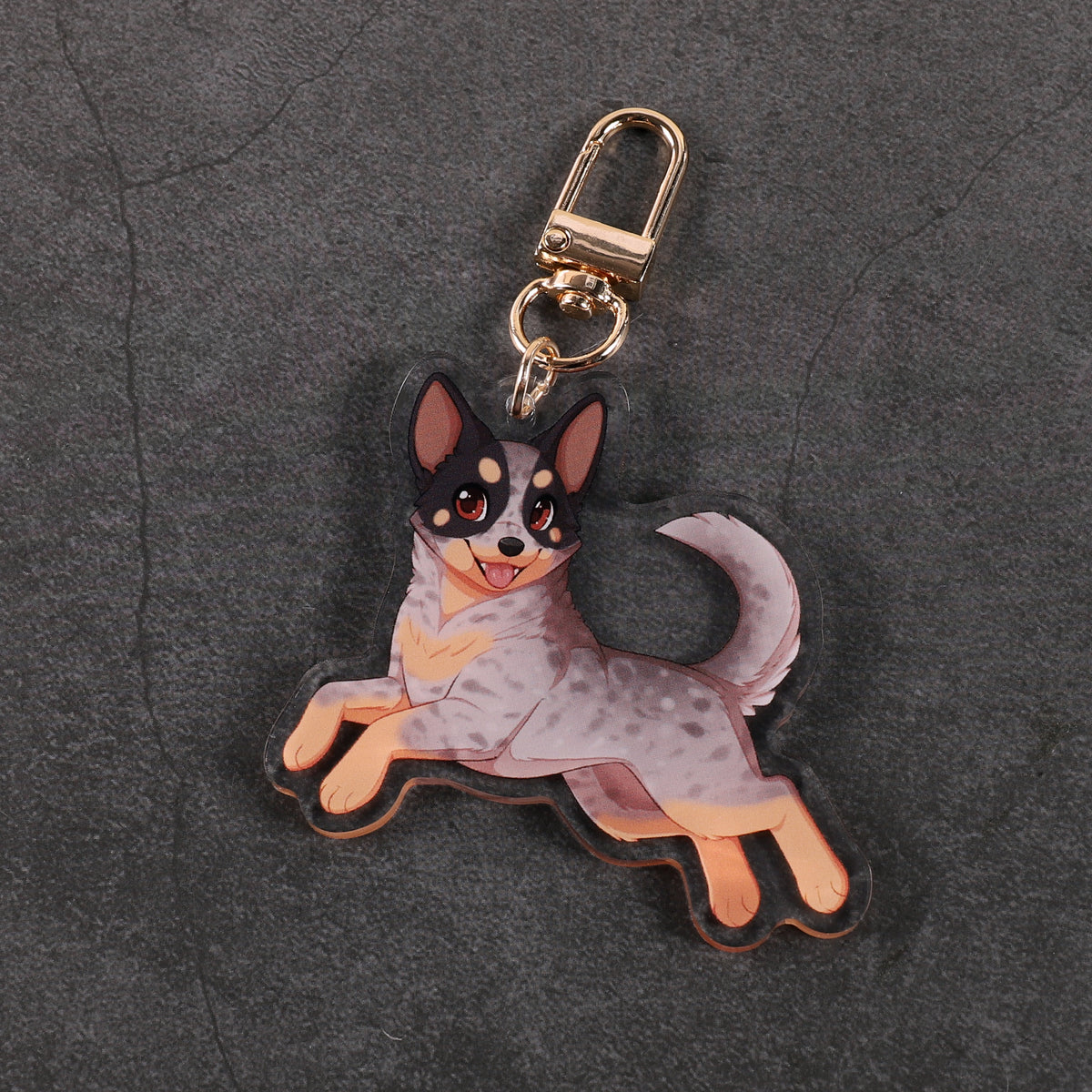 Australian Cattle Dog - Acrylic Charm