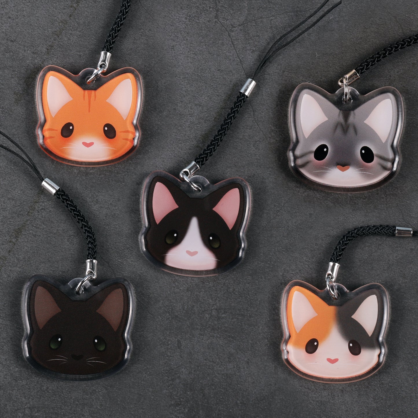 Cat Collection - 1.5 Inch Charm