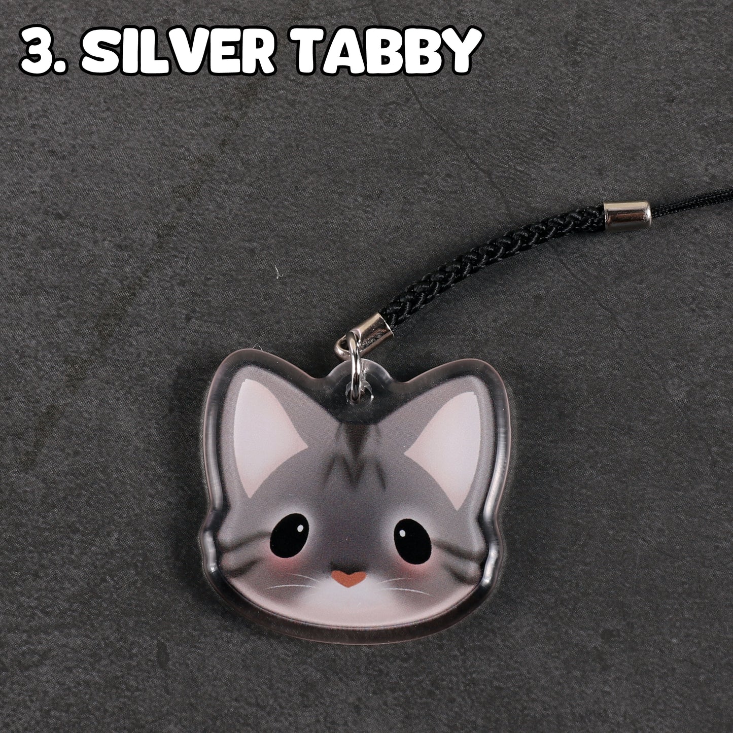 Cat Collection - 1.5 Inch Charm