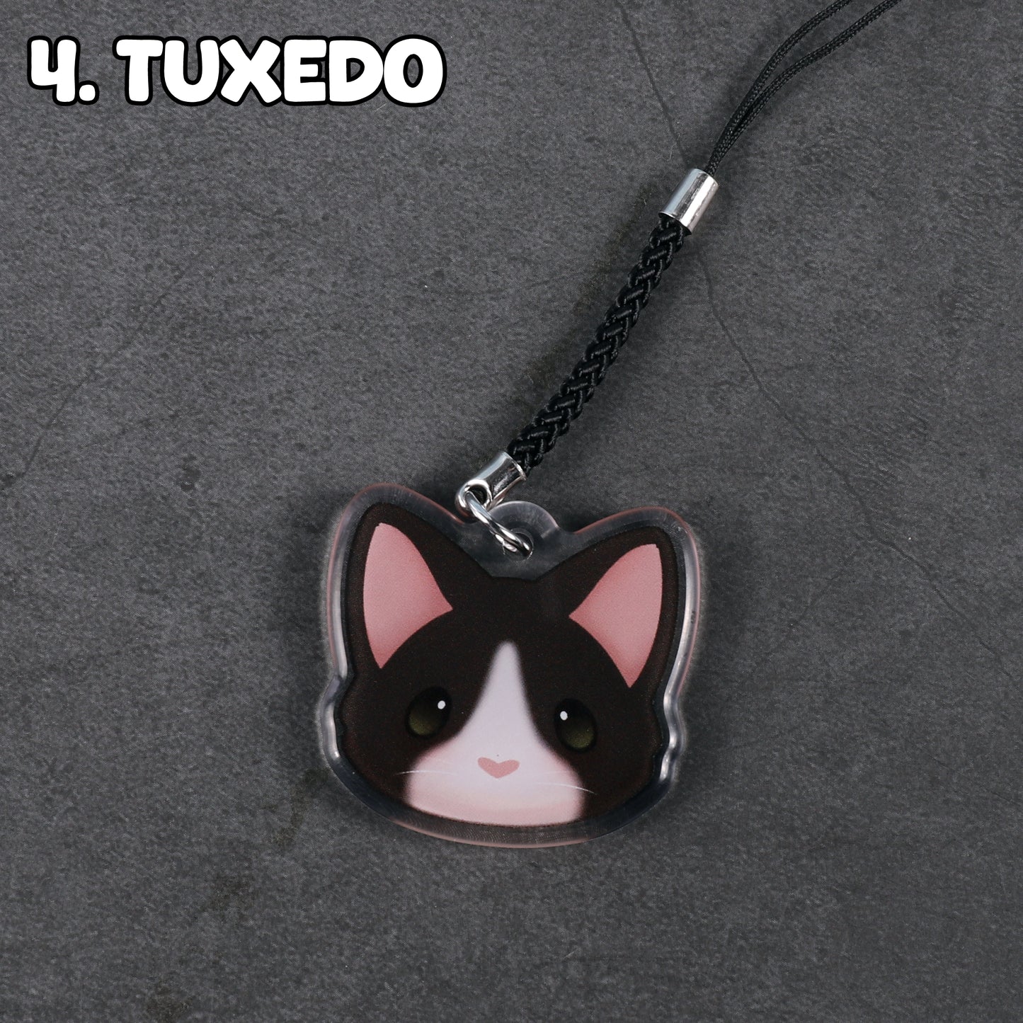 Cat Collection - 1.5 Inch Charm